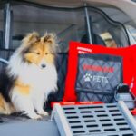Nissan X-Trail Pets, crossover para las mascotas