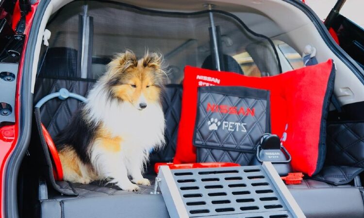 Nissan X-Trail Pets, crossover para las mascotas