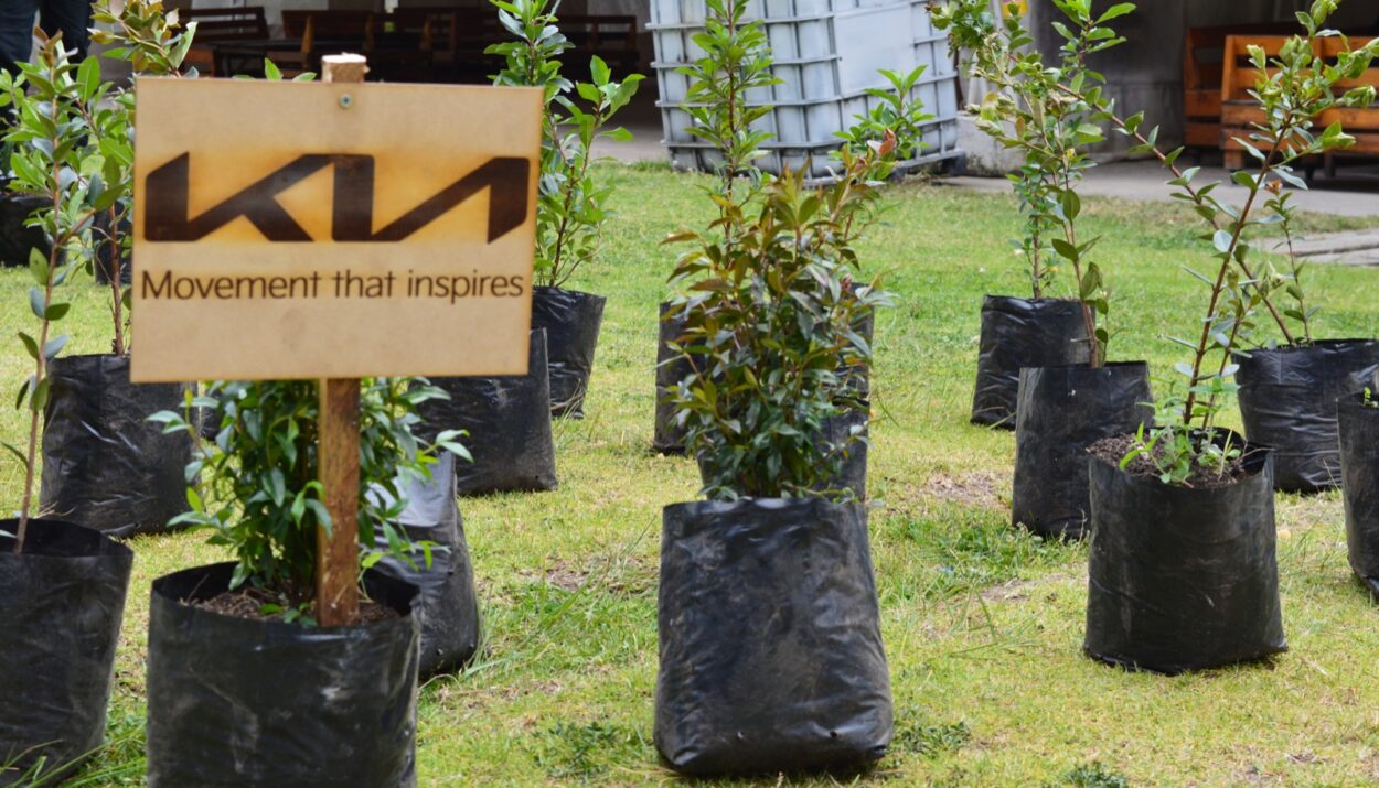 Kia Tasman llega cargada de árboles para reforestar Cajicá