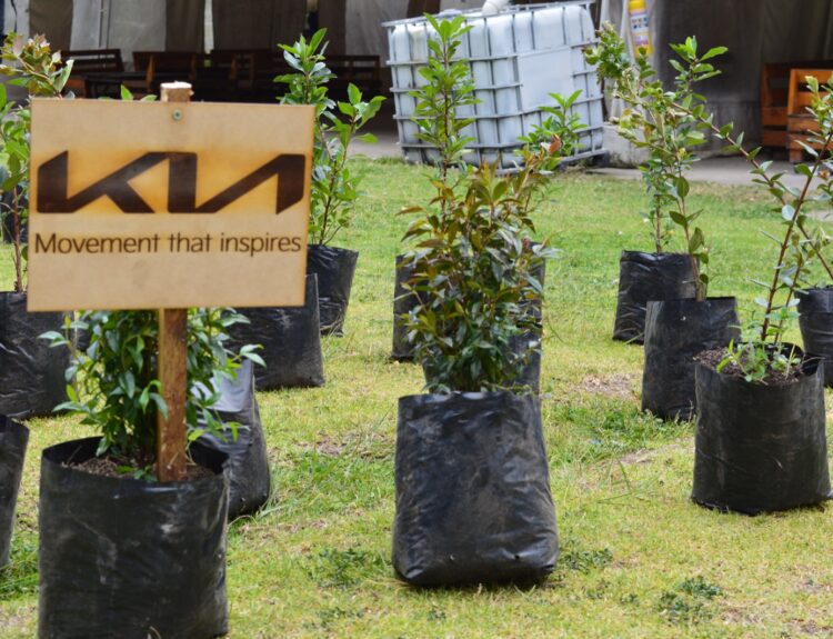 Kia Tasman llega cargada de árboles para reforestar Cajicá