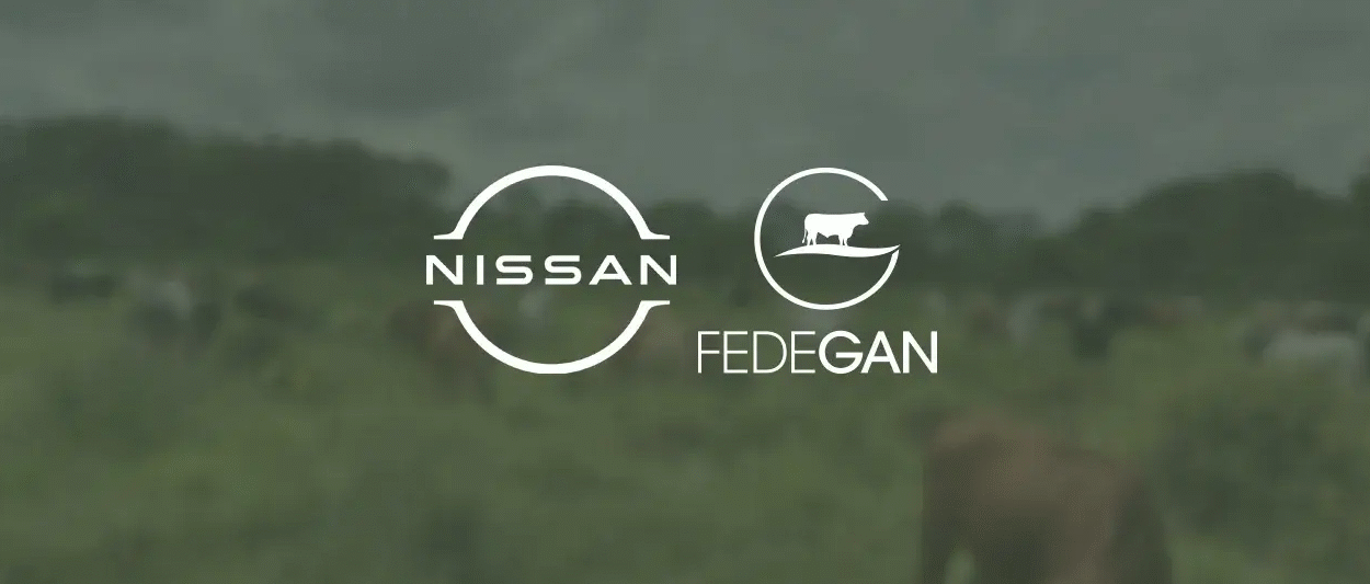 Nissan - Fedegan