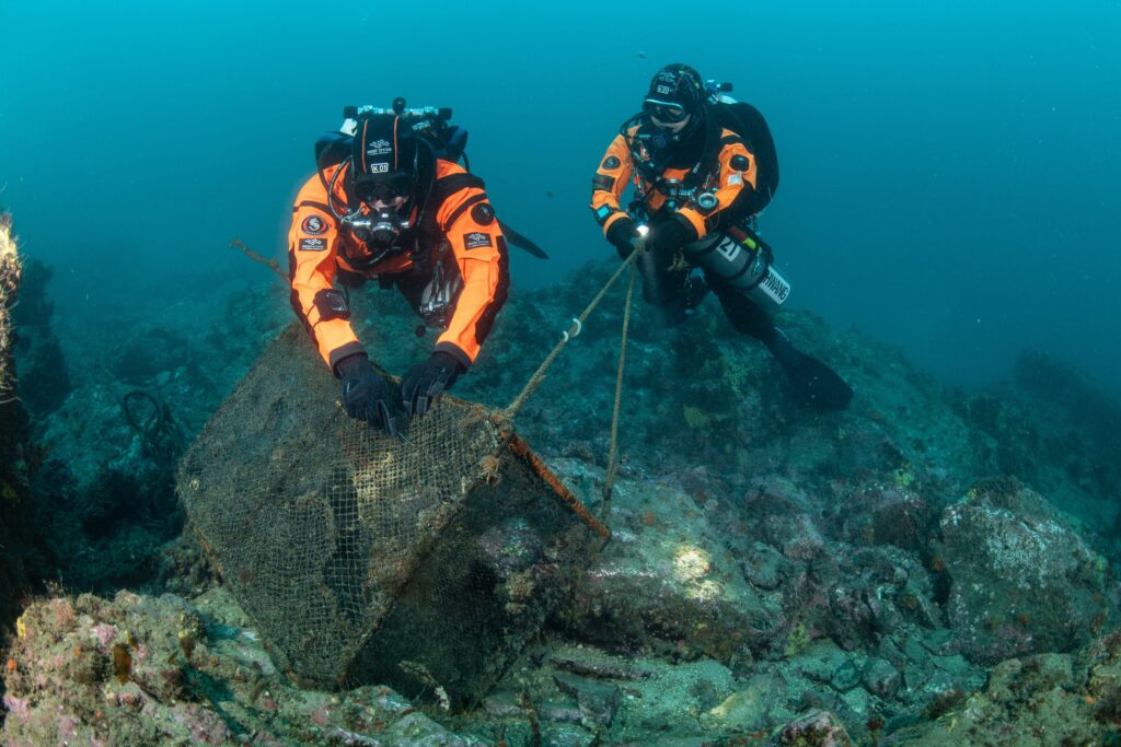 Hyundai Motor y Healthy Seas celebran cinco años de liderazgo global en conservación oceánica