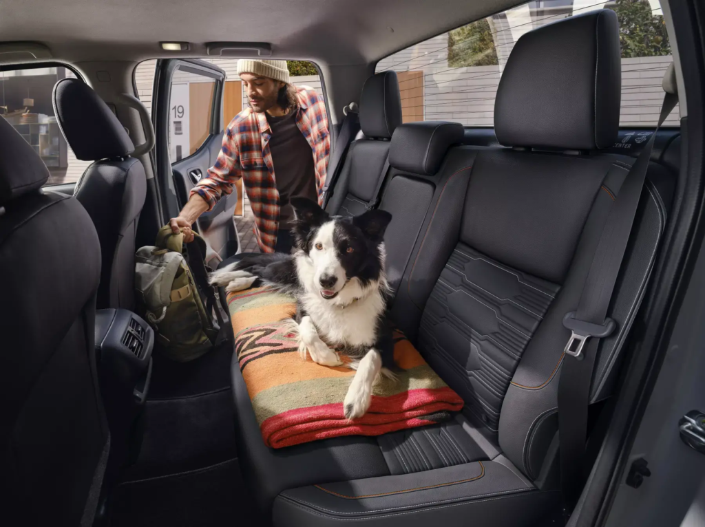 ¿Tu carro es pet friendly? Nissan propone una movilidad pensada también para las mascotas