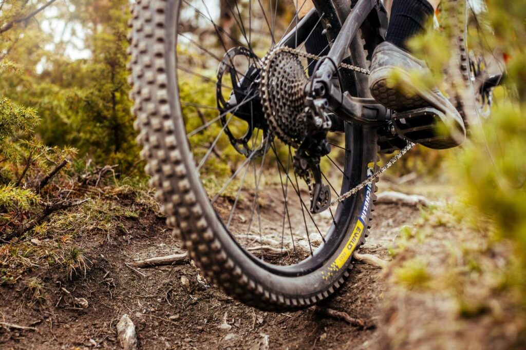 Michelin: El ciclismo gana protagonismo como aliado de la movilidad sostenible en Colombia